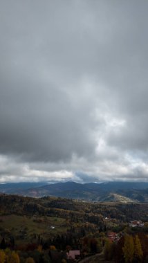 Ormanı ve bulutlu arka planı olan güzel bir sonbahar manzarasının dikey çekimi.