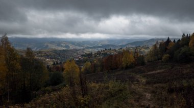 Romanya 'da bir dağ ormanında sonbahar manzarası.