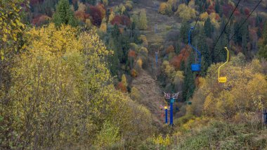 Bir dağ yolu olan sonbahar ormanı