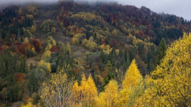 Karpatlar sonbaharda