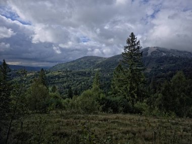 Dağlardaki güzel yeşil bir ormanın alçak açılı görüntüsü.