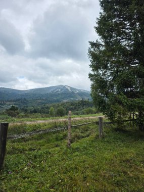 Yazın dağların manzarası