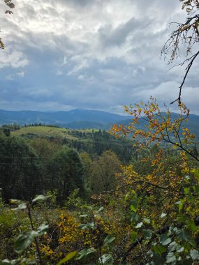 Orman ve ağaçlarla dolu güzel bir dağ manzarası