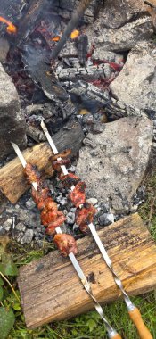 Etli barbekü ve doğa arka planında ateş.