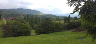 Ağacı ve dağı olan güzel bir manzara.