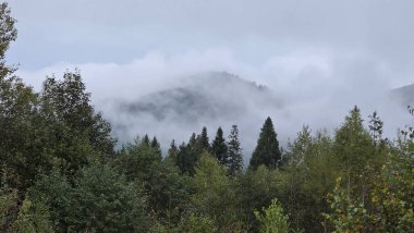Güzel dağ manzarası ile sis