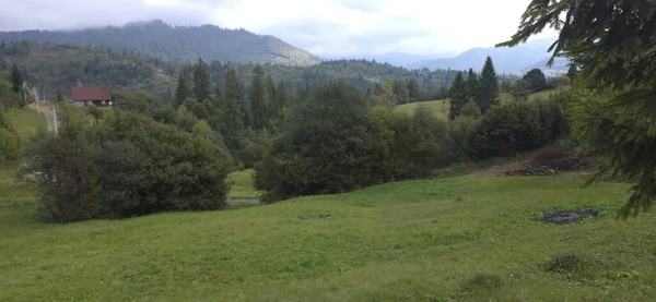 güzel dağ manzarası ile yeşil orman