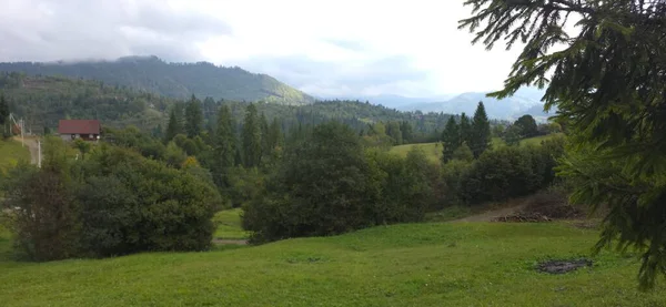 Ağacı ve dağı olan güzel bir manzara.