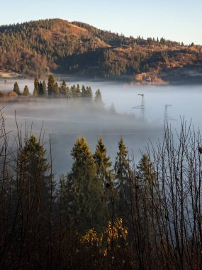 Dağlarda sonbahar. Ormandaki sisin içindeki renkli ağaçlar..
