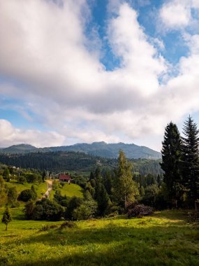 Karpatlar 'daki güzel dağ ormanları