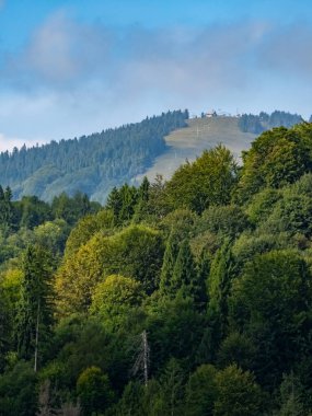 Dağlardaki ormanın güzel manzarası.