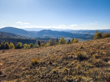 Bir dağ yolu ile sonbahar manzarası