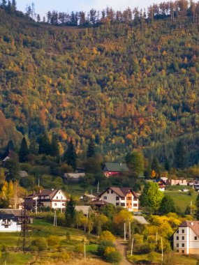 Renkli ağaçlarla dolu güzel sonbahar manzarası