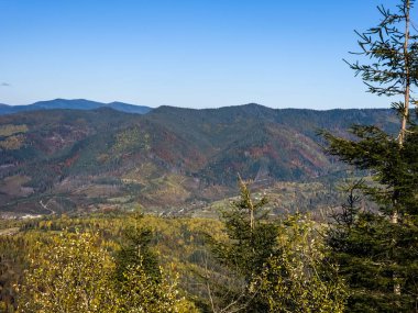 ormanda sonbahar dağ