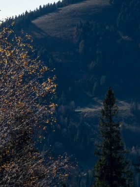Ağaçlar ve dağlarla dolu güzel sonbahar manzarası