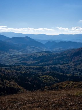 Karpat Dağları 'nda sonbahar manzarası