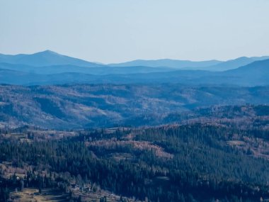 Dağ sırasının dikey görüntüsü ve uzaktaki orman.