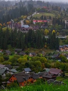 Dağlarda sonbahar ormanı