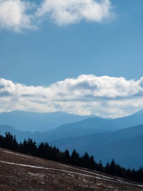 Karla kaplı ağaçlarla kaplı kış manzarası