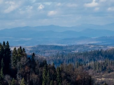 Tepenin tepesinden dağ ormanının manzarası