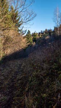 Slovakya kırsalında sonbahar mevsiminde orman ağaçları