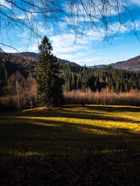 Doğanın güzel manzarası