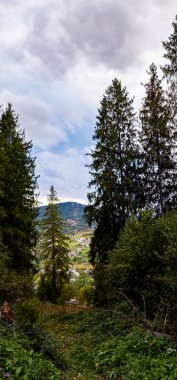 bir ağaç ile güzel dağ manzara