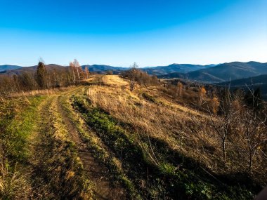 Dağlarda sonbahar manzarası