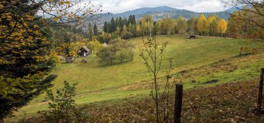 Dağlarda sarı ağaçlar olan sonbahar manzarası