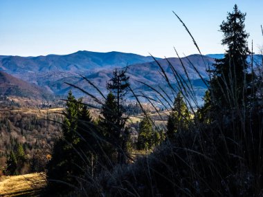 Ağaçlarla ve mavi gökyüzüyle sonbahar manzarası
