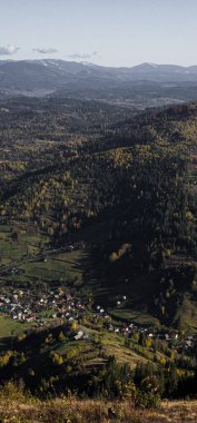 Renkli sonbahar ağaçları ile sonbahar manzarası