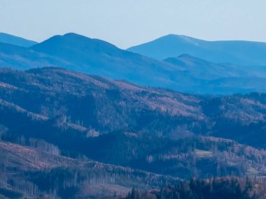 Karpat Dağları 'ndaki güzel dağ manzarası.