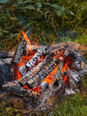 Ormanda şenlik ateşi