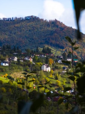 Bir ağaç ve bir dağ ile sonbahar manzarası