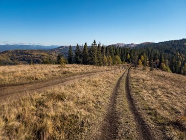 Bir yolu ve güzel bir ormanı olan sonbahar manzarası.