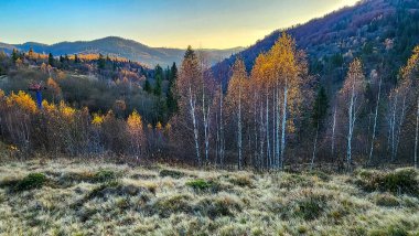 Renkli ağaçları ve dağları olan sonbahar ormanı.