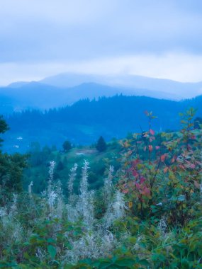 Sonbaharda Karpatlar 'da bir dağ manzarası