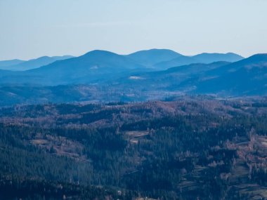 Karpat Dağları 'ndaki güzel dağ manzarası, Ukrayna