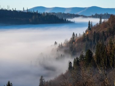 Karpatlarda sisli bir sabah