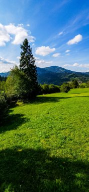 Yeşil orman ve bulutlu mavi gökyüzü