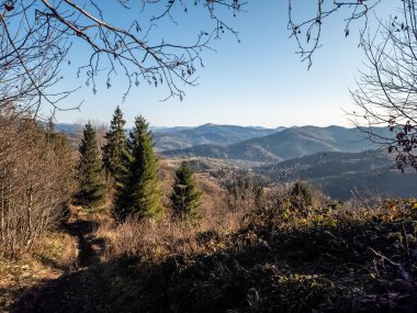Ağaçlı ve ormanlı güzel dağ manzarası