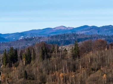 Ağaçlı ve ormanlı güzel dağ manzarası