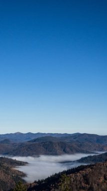 Güzel sonbahar ormanı Ağaçlar ve bulutlarla