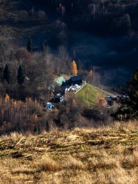Ormandaki güzel bir dağ evinin dikey görüntüsü.