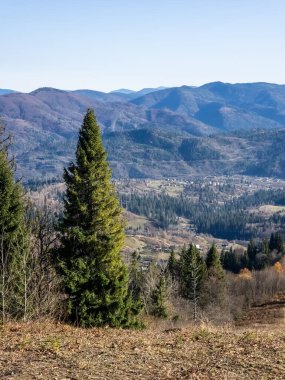 Karpatlar 'da dağın tepesinden manzara