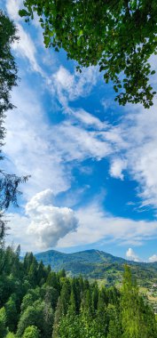 Arkasında bir dağ ve bir ağaç olan güzel bir manzara.