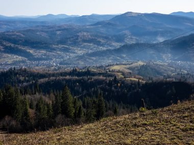 Renkli ağaçlar ve dağlarla dolu güzel bir sonbahar manzarası. Karpatyalı, Ukraynalı.