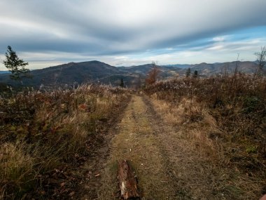 Bir tepenin üzerindeki dağ yolu