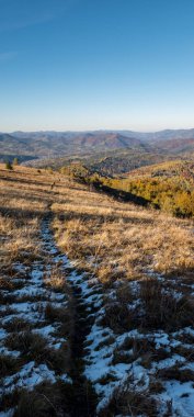 Güzel sonbahar manzarası. Bir sürü ağaçla dolu renkli sonbahar manzarası. Dağlardaki ormanın güzel sonbahar manzarası