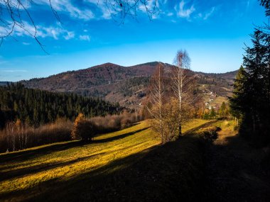 Ağaçlar ve ormanlarla dolu güzel sonbahar manzarası